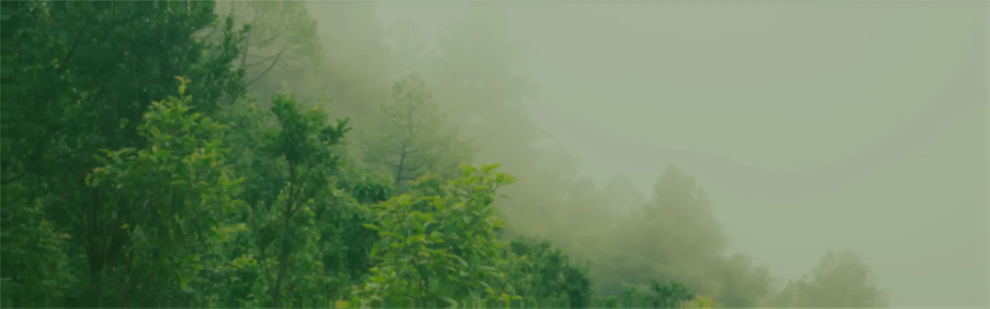 Know Us Banner