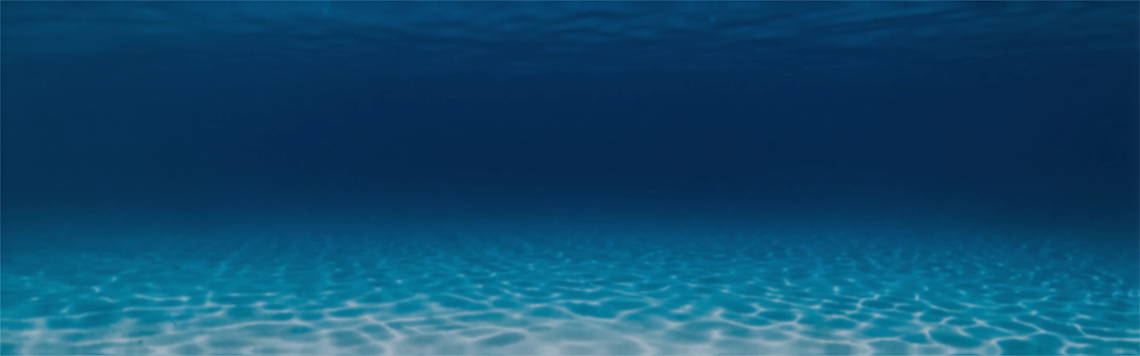 Know Us Banner